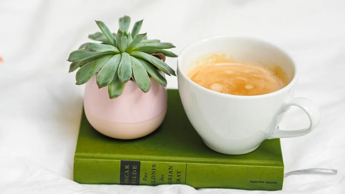 Boisson chaude avant de dormir : plantes et sommeil